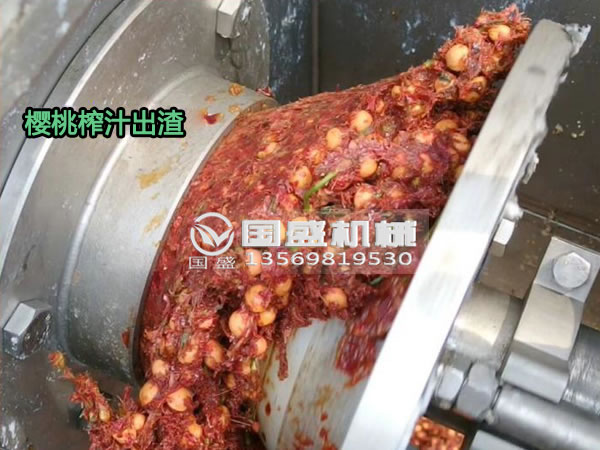 油条视频樱桃螺旋压榨脱水机 油条视频樱桃螺旋压榨脱水机
